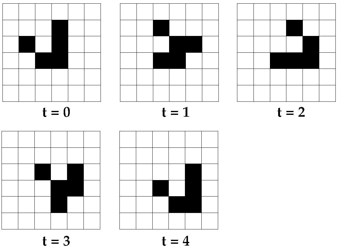 randomized conways game of life